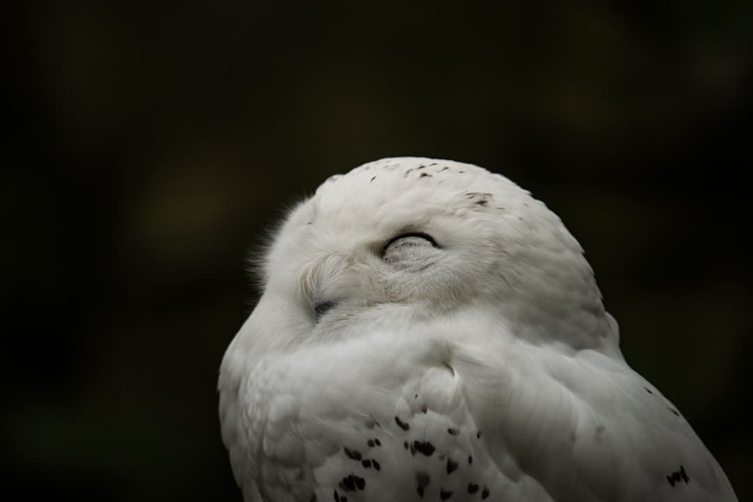 医药生物板块主力资金净流出超35亿元